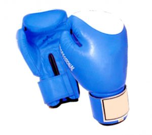 Boxing Gloves Promo